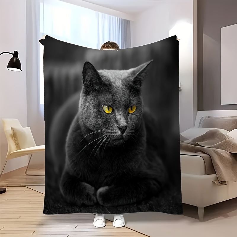 Home Textiles Definition - Rahat Yüksek Çözünürlüklü Sevimli Mavi Kedi